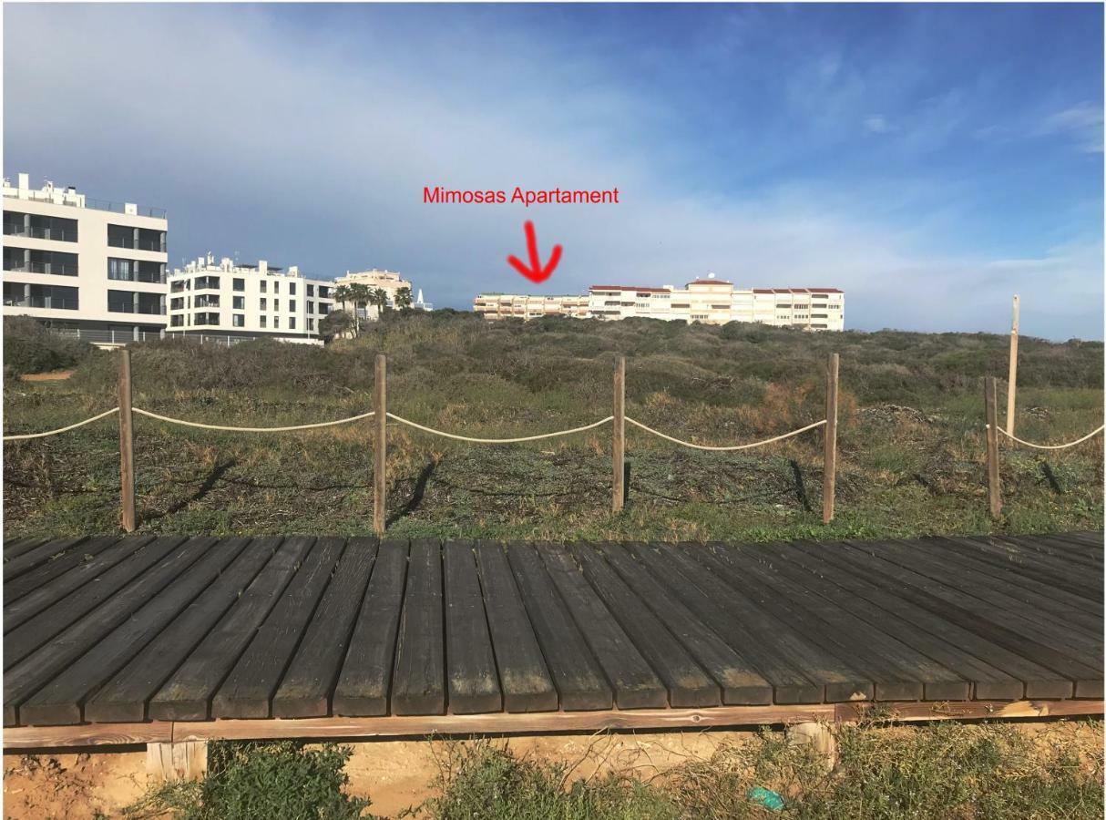 Mimosa Apartment Guardamar del Segura Eksteriør billede